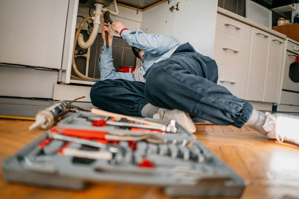 Best Leak Detection Services  in Wayland, IA