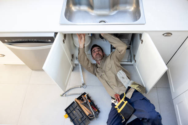 Best Plumbing Inspection Services  in Wayland, IA