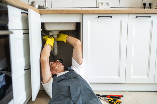 Best Faucet Repair  in Wayland, IA